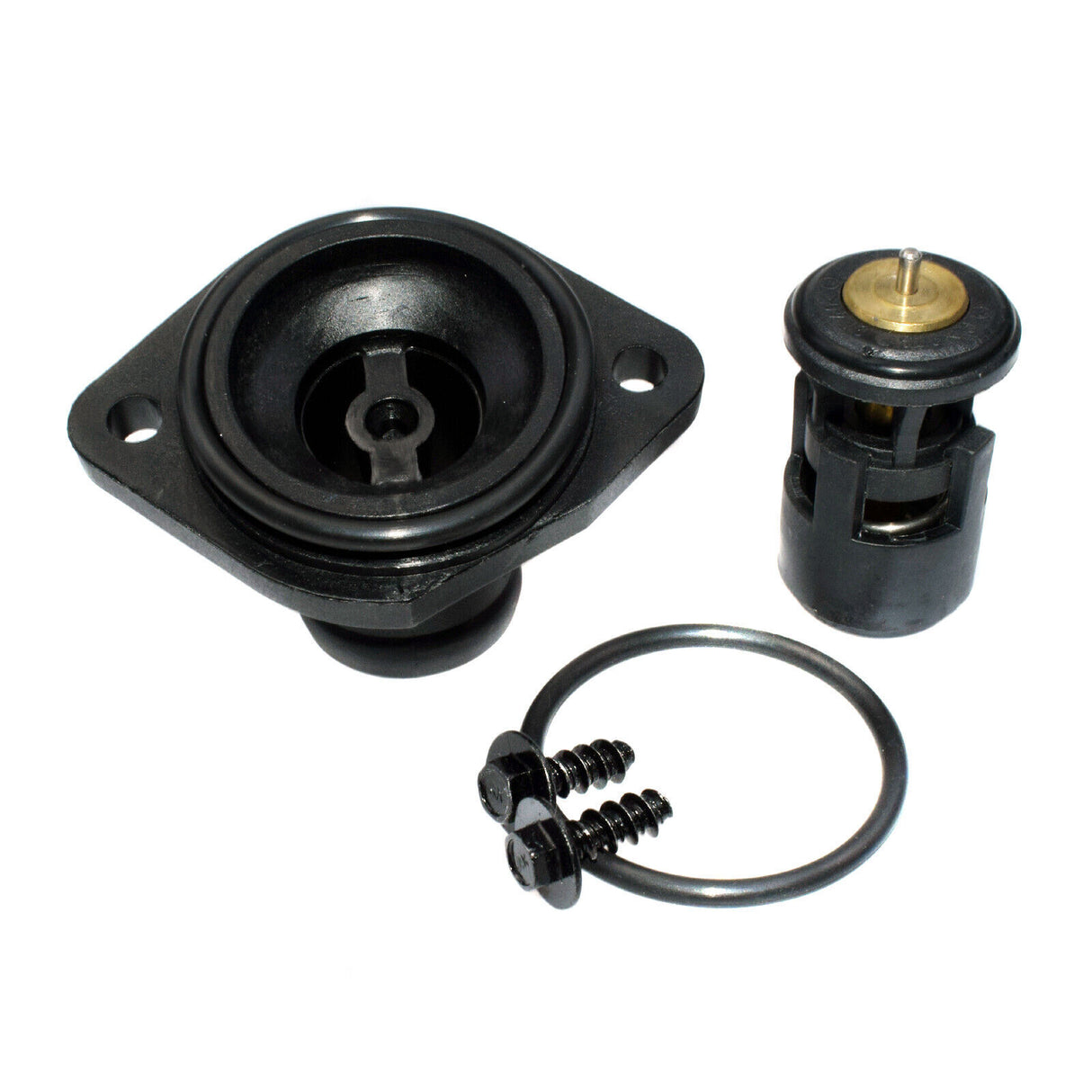Seal Thermostat Housing 032121119J for Volkswagen