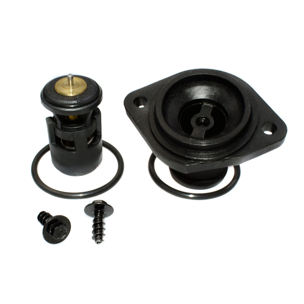 Seal Thermostat Housing 032121119J for Volkswagen