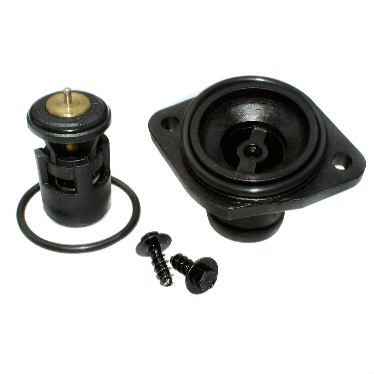 Seal Thermostat Housing 032121119J for Volkswagen