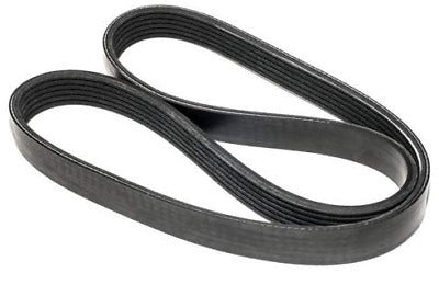 Ribbedbelt 04E145933AL for Volkswagen