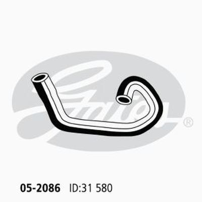 Radiator Hose Lower -09/05 on Gates 05-2086 for Ford Focus LS, LT Sedan 2.0 Petrol AODB,AODE