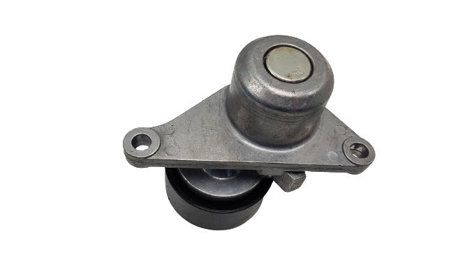 Tensioner Assy- 11750-0969R for Nissan
