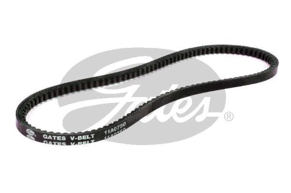 V-Fan Drive Belt Gates 11A0750 For SUZUKI MERCEDES-BENZ HOLDEN ALFA