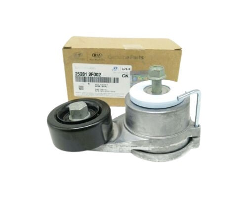 Tensioner Assembly 252812F002 for Hyundai