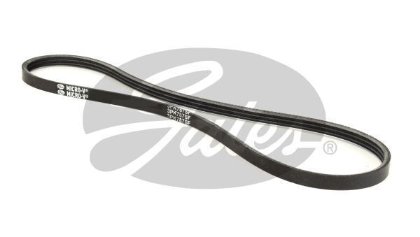 V-Ribbed Belts Gates 3PK787SF For MAZDA