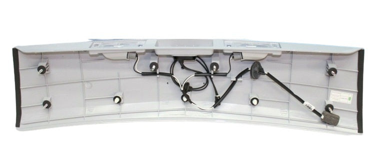 Applique Asm-Rr Clsr Ctr W/Lic Plt Lp 42399675 for GM Holden