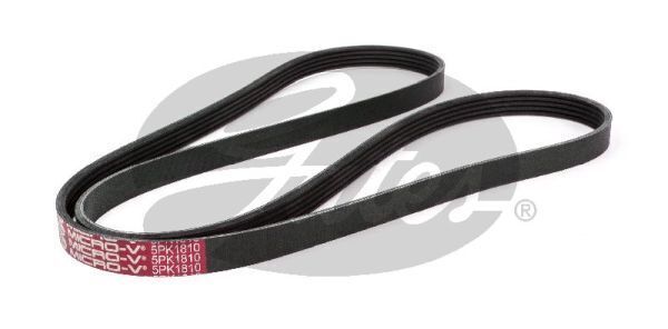 Micro V-Fan Drive Belt Gates 5PK1810 For HYUNDAI ACCENT i30 i40 KIA SOUL
