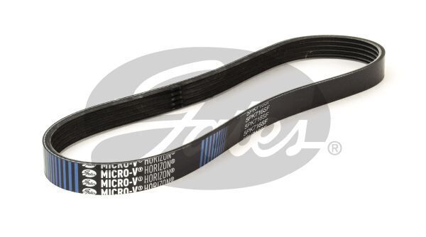 V-Ribbed Belts Gates 5PK716SF For MAZDA