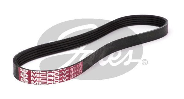 Micro V-belt Gates 5PK725