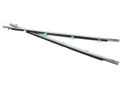 Molding Assembly Left Front Door 72450T0AA01 For Honda