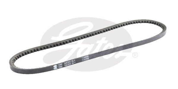 V-Belt