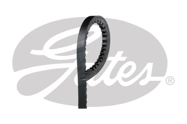 V-Belt