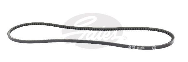 V-Belt
