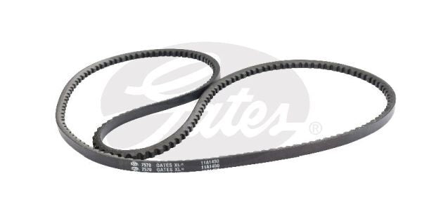 V-Belt