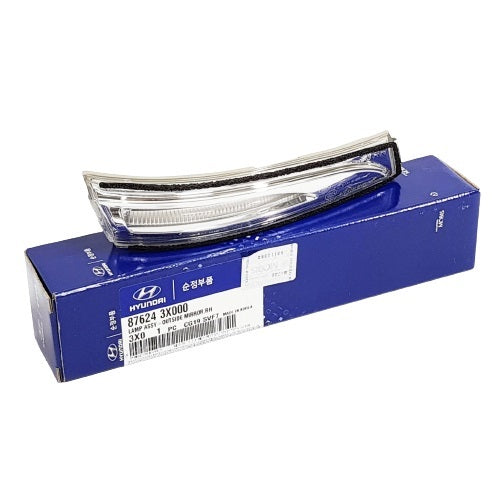 Lamp Assy-O/S Mirror Rh 876243X000 for Hyundai