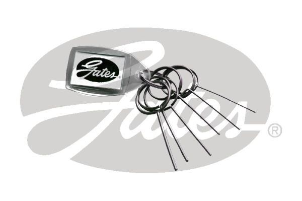 Micro V-belt