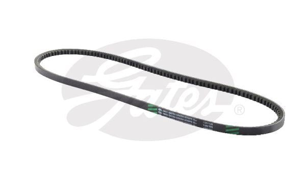 V-Belt