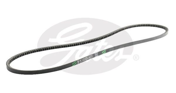 V-Belt