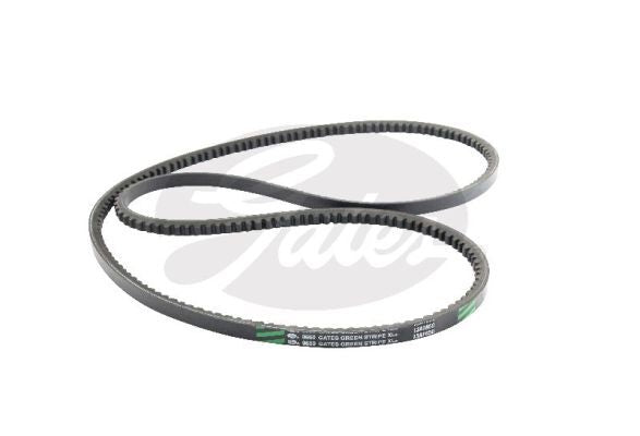 V-Belt