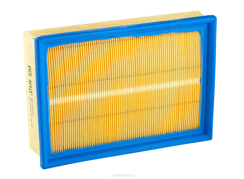 Air Filter Ryco A1413 for BMW 3 5 X3 Z3 Z4