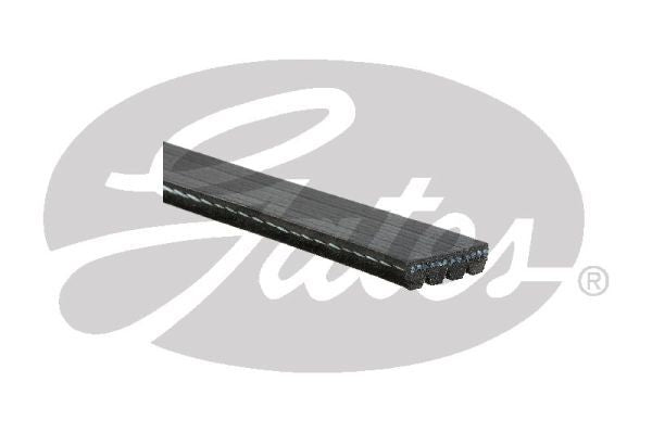 Drive Belt Gates K040373SF