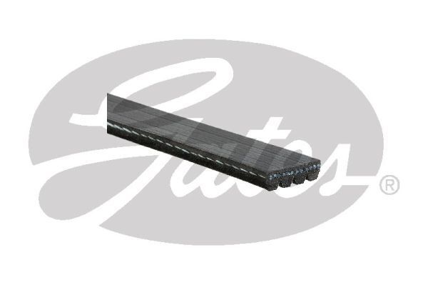 Micro-V Belt