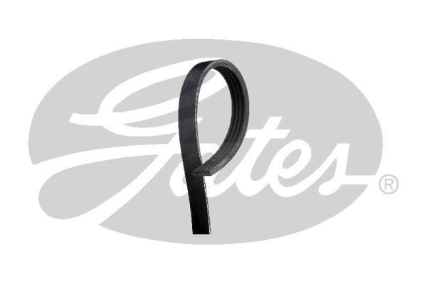 Micro-V Belt