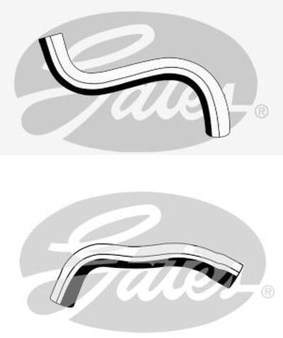 Radiator Hose Set Upper & Lower For HOLDEN Commodore VE VF V8 Gates from 06/2009 onwards