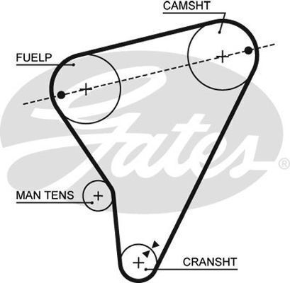 Timing Belt Gates T016