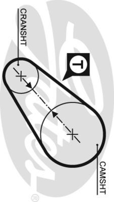 PowerGrip Belt