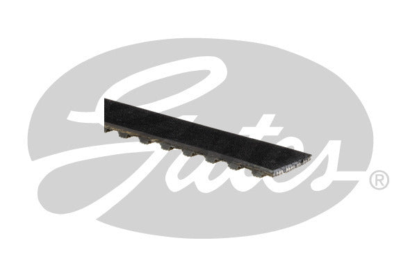 Timing Belt