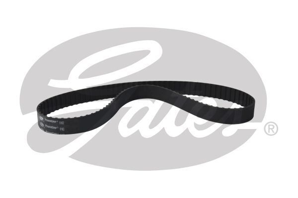 PowerGrip Belt
