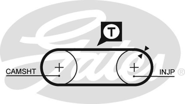 PowerGrip Belt