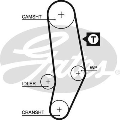 Timing Belt