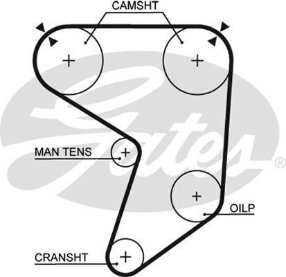 Timing Belt Gates T101 For Toyota Crown 1984-1985 Celica 1981-1985