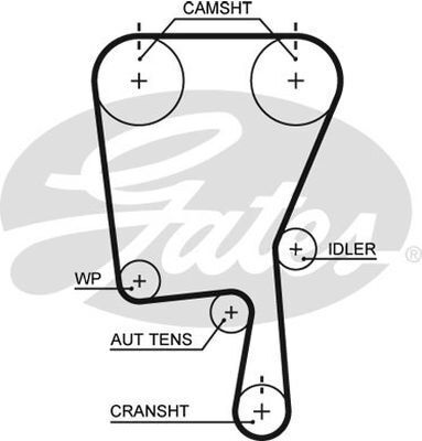 PowerGrip Belt