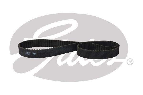 Timing Belt