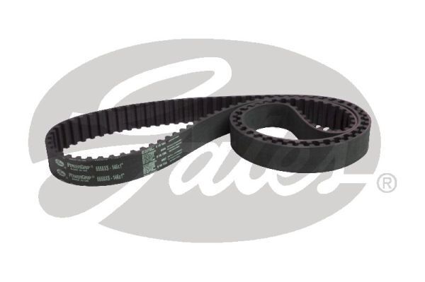Timing Belt