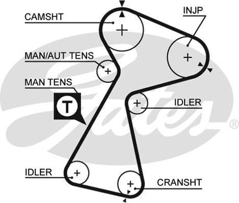 Timing Belt