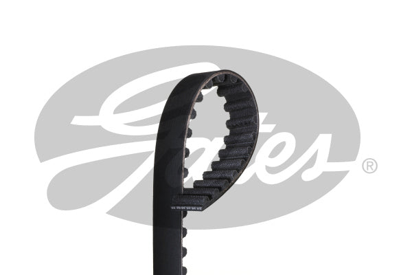 Timing Belt T1579