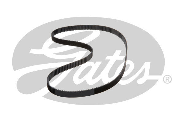 Timing Belt