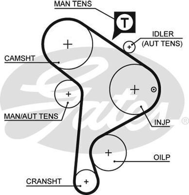 Timing Belt Gates T242