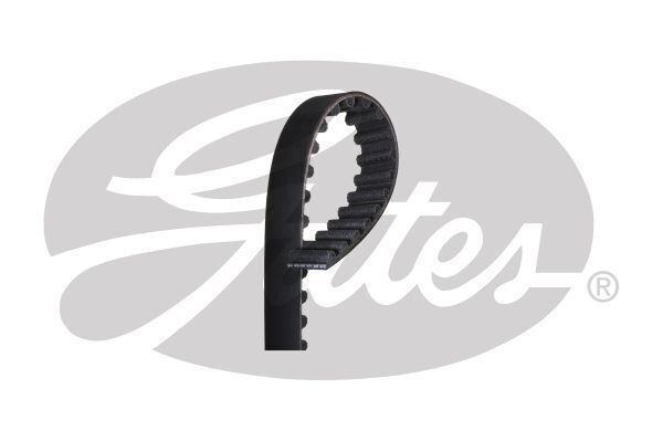 Timing Belt