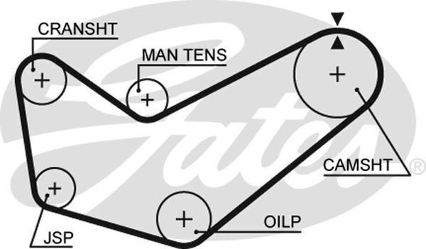 Timing Belt Gates T299