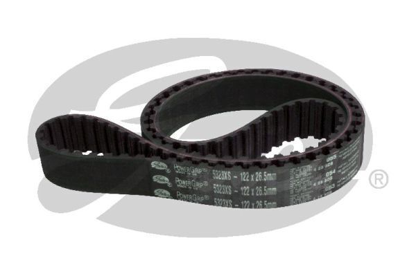 PowerGrip Belt