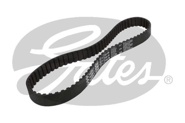 Timing Belt