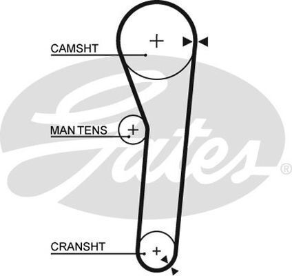 Timing Belt