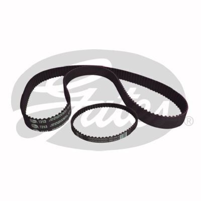 Timing & Balance Bet Set Gates TBS313