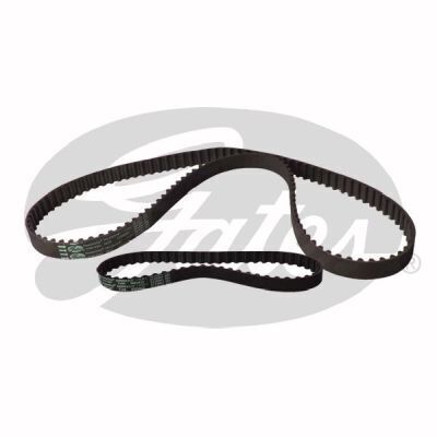 Timing Belt