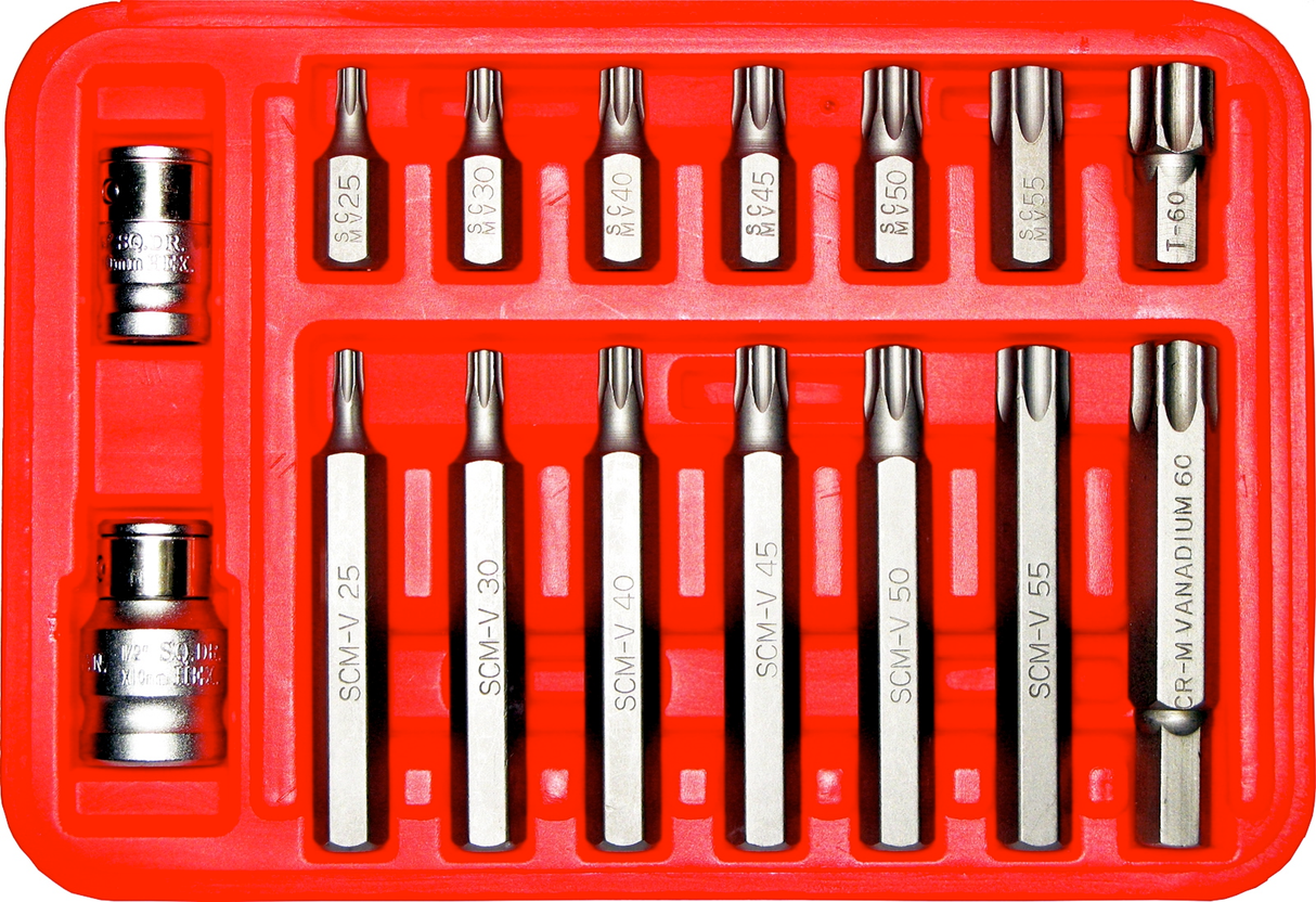 16 Piece Tamper Torx Insert Bit Set T&E Tools 91213